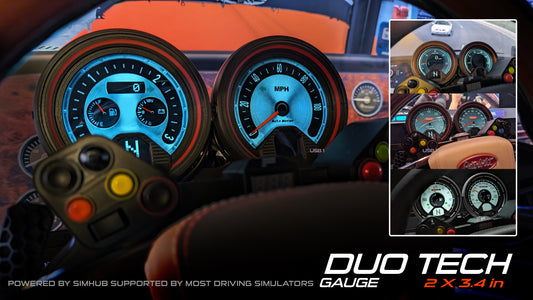 Sim Racing Dashboard DDU: Dual  Touchscreen Gauge